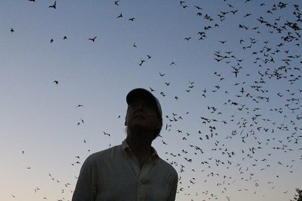 Andrew Walker, executive director of Bat Conservation International, watches the evening sky at BCI’s Bracken Cave Preserve in Texas. | Photo courtesy