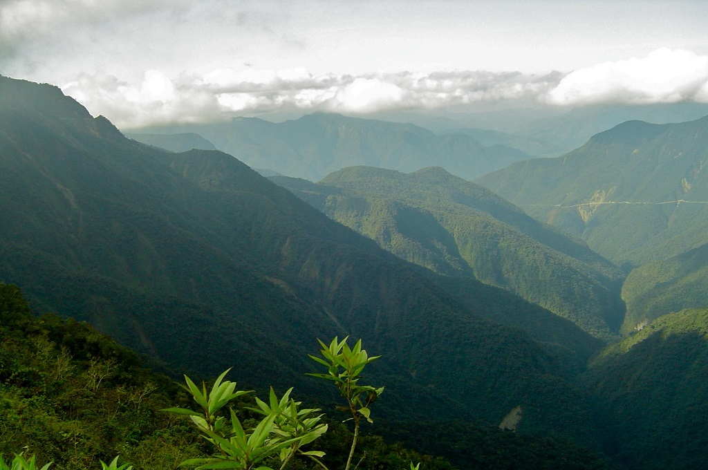 The Bolivian Yungas is a breathtakingly unique ecoregion within the 30 million acres of the tropical Andes.  | Photo by Bruce Young