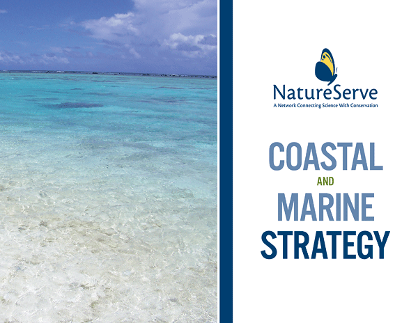 Corangamite marine and coastal biodiversity strategy