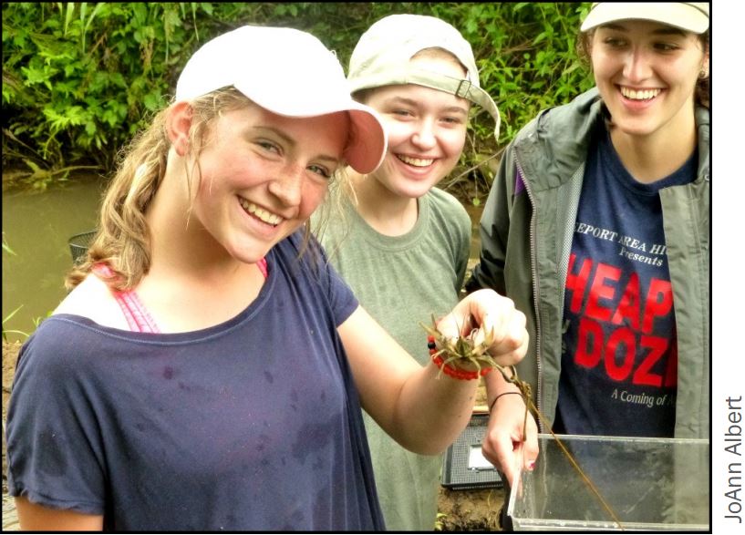 Campers measure the crayfish population of a stream segment, to note impacts from a beaver dam 
