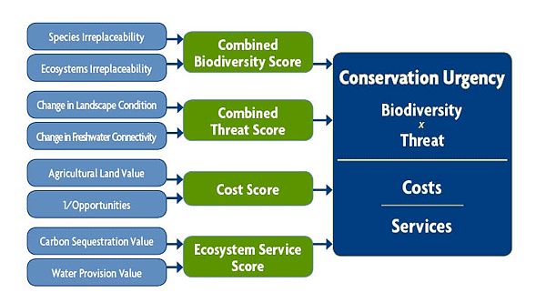 Prioritization framework incorporating conservation value, threats, and costs and benefits of conservation.
