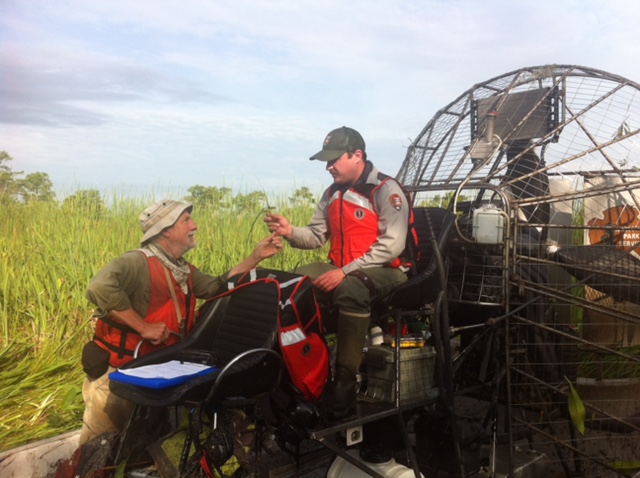 Milo Pyne (NatureServe) and Dusty Pate (NPS) of USGS Upper Midwest Environmental Sciences Center access remote areas of the park by airboat | Photo by Rickie White