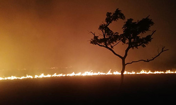 Fighting Fire