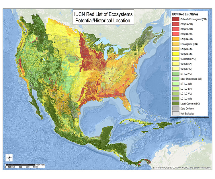 IUCN Red List Ecosystems | NatureServe