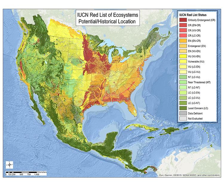 tankevækkende Etablere Fejde IUCN Red List of Ecosystems | NatureServe