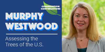 Murphy Westwood: Assessing the Trees of the U.S.