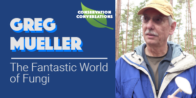 Greg Mueller: The Fantastic World of Fungi