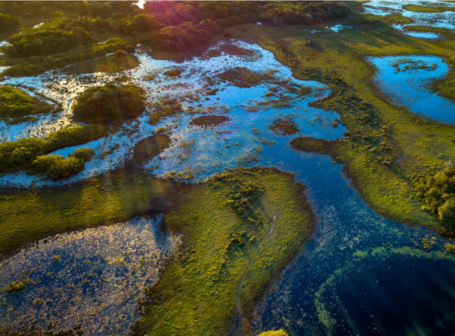The sun shines on a vast marshland