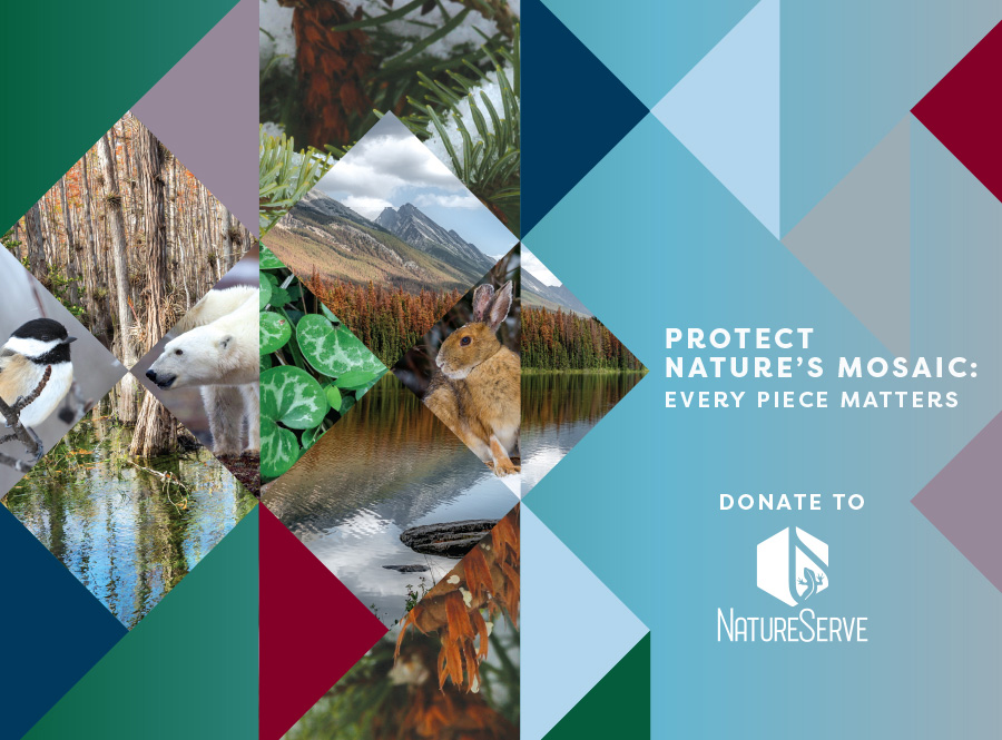 Protect Nature's Mosaic: Every Piece Matters