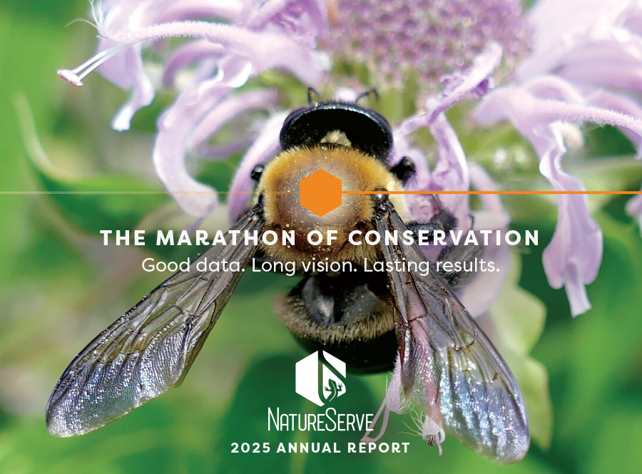 2025 Annual Report