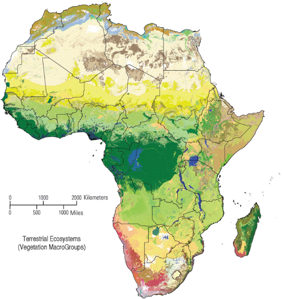Map Of Potential Distribution Of Vegetation Macrogroups Of Africa