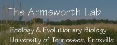 Click to learn more about The Armsworth Lab.