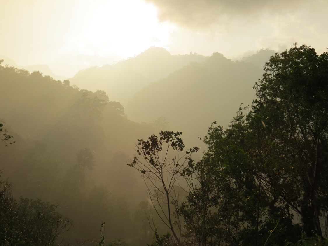 The famed cloud forests of Veracruz.