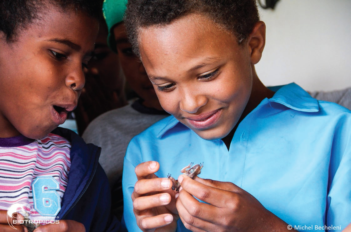 Instituto Biotrópicos has taught thousands of Brazilian schoolchildren about the value of amphibian species. Photo by Michel Becheleni | Instituto Biotrópicos