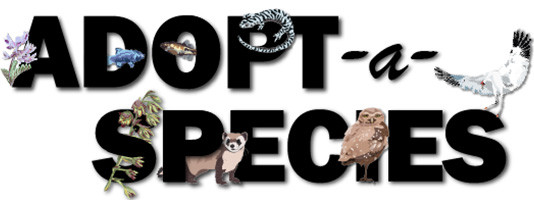 Adopt-a-Species