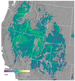 Overall climate Change Vulnerability estimate for 2040-2070 for Intermountain Basins Big Sagebrush Shrubland.