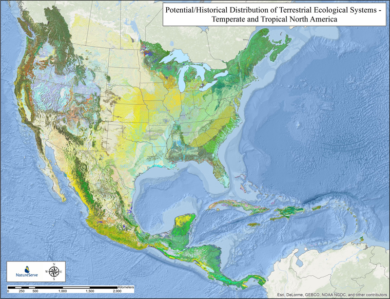 Potential/historical distribution of terrestrial ecological systems—temperate and tropical North America.