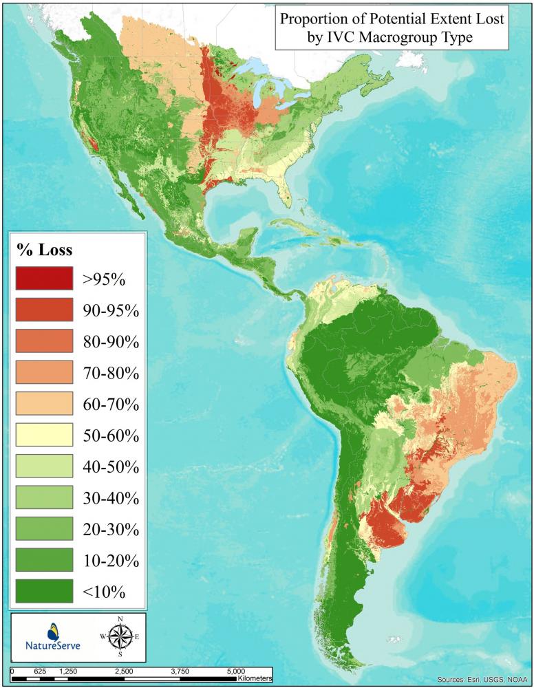 Proportion of potential extent lost by IVC macrogroups.