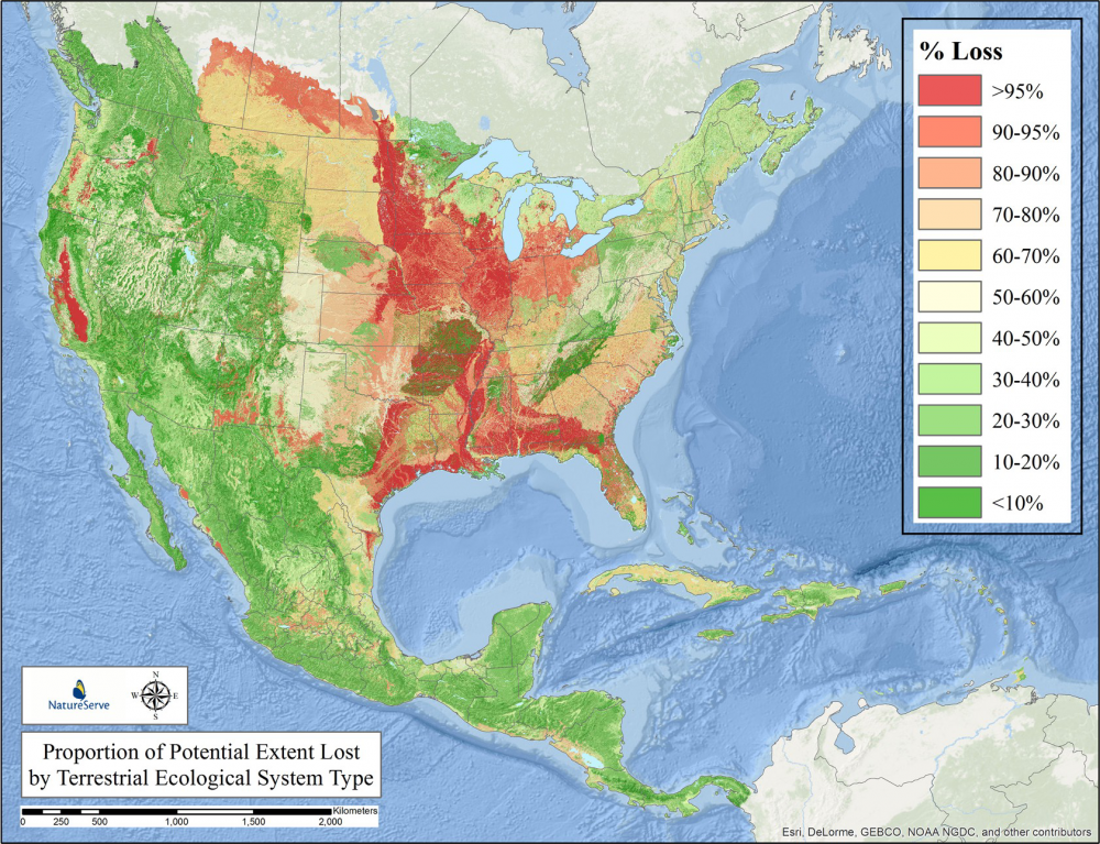 Proportion of potential extent lost by terrestrial ecological system.