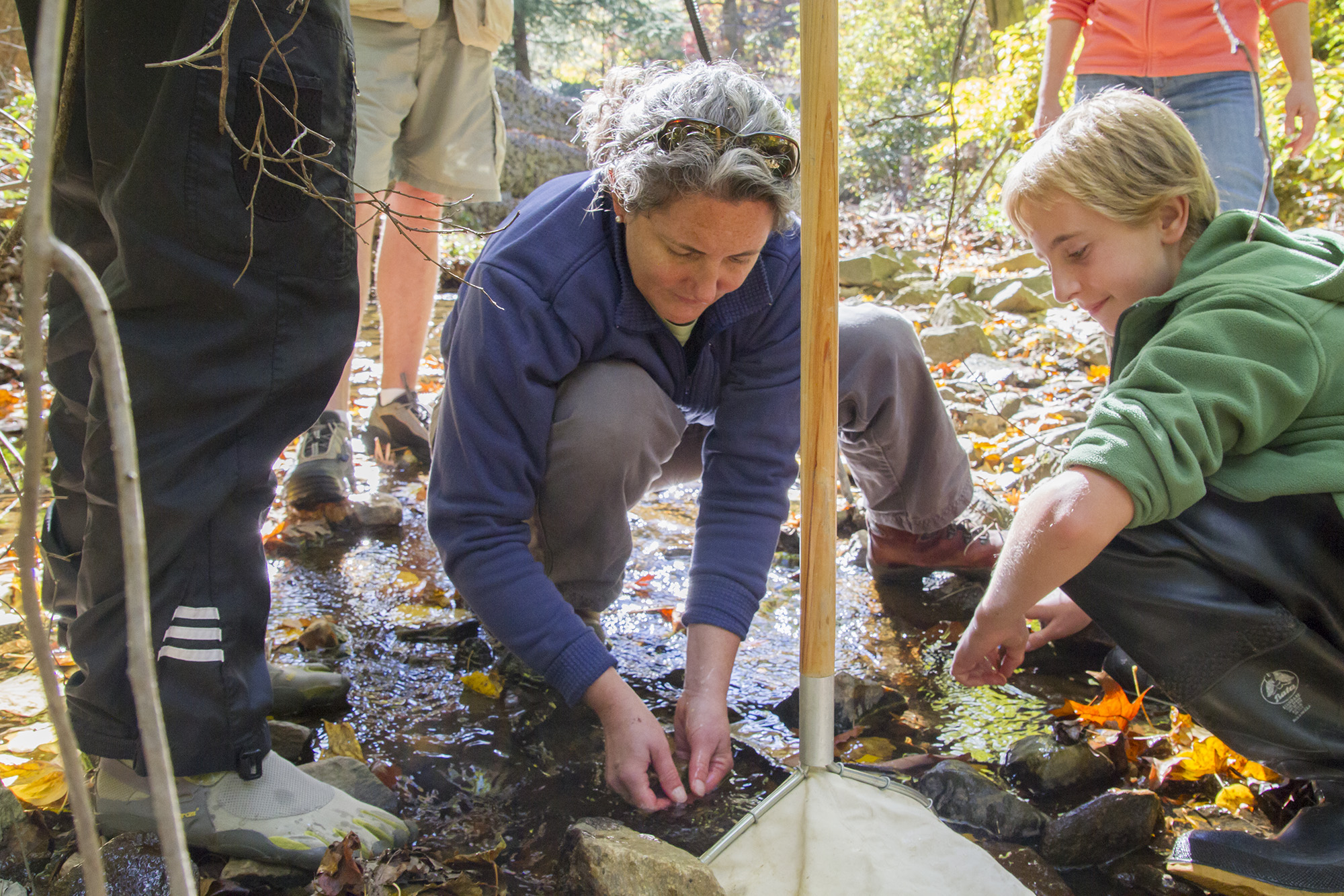 NatureServe CIO Lori Scott helps with a stream monitoring effort in Northern Virginia by catching aquatic invertebrates.