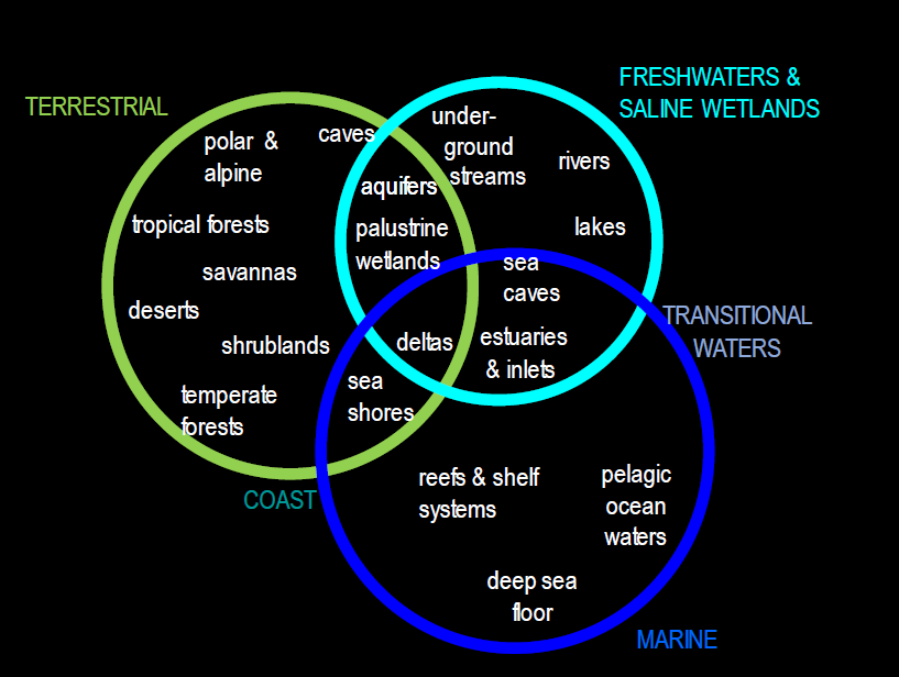 Earths ecosystem