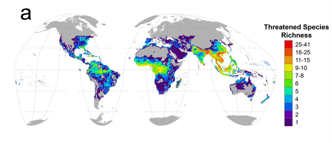 A map shows the richness of threatened reptile species across the world.