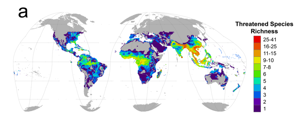 Une carte montre la richesse des espèces de reptiles menacées à travers le monde.