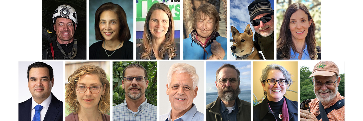 Who's Who at NatureServe