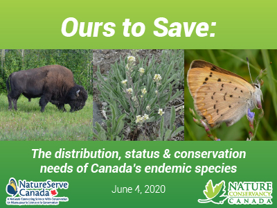 Ours to Save: The distribution, status & conservation of Canada’s endemic species
 June 4, 2020