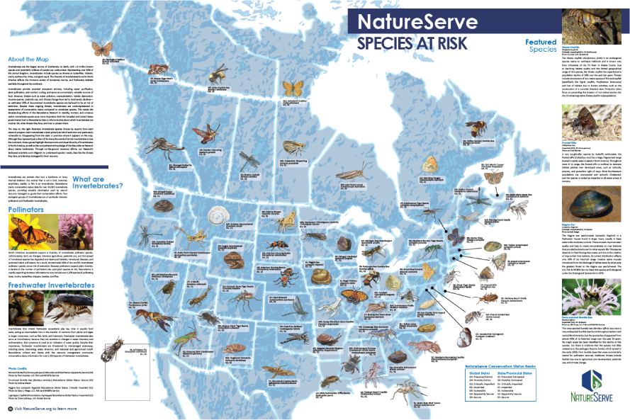 An illustrated map of invertebrate species in U.S. states and Canadian provinces