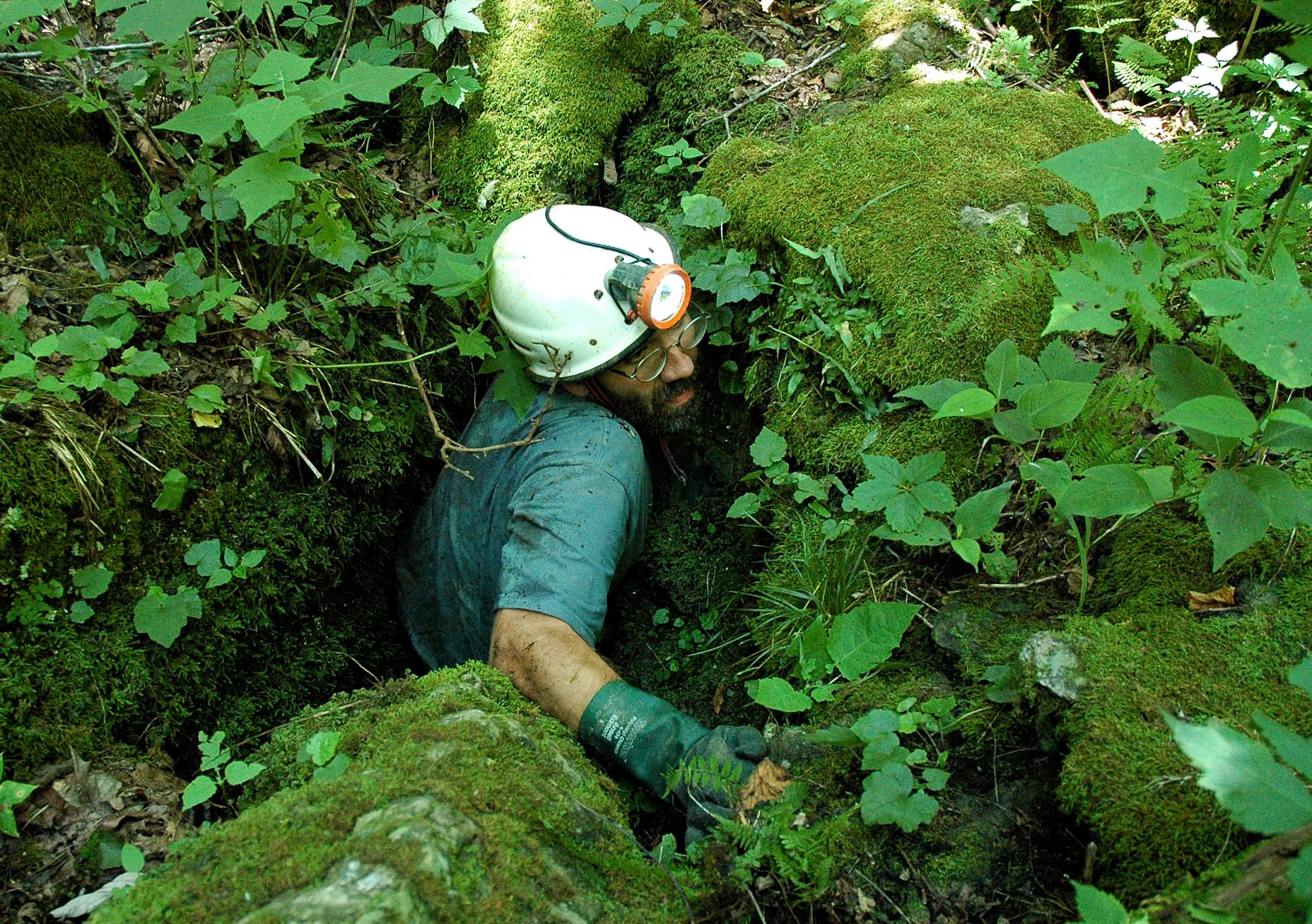 Why NatureServe Data? NatureServe