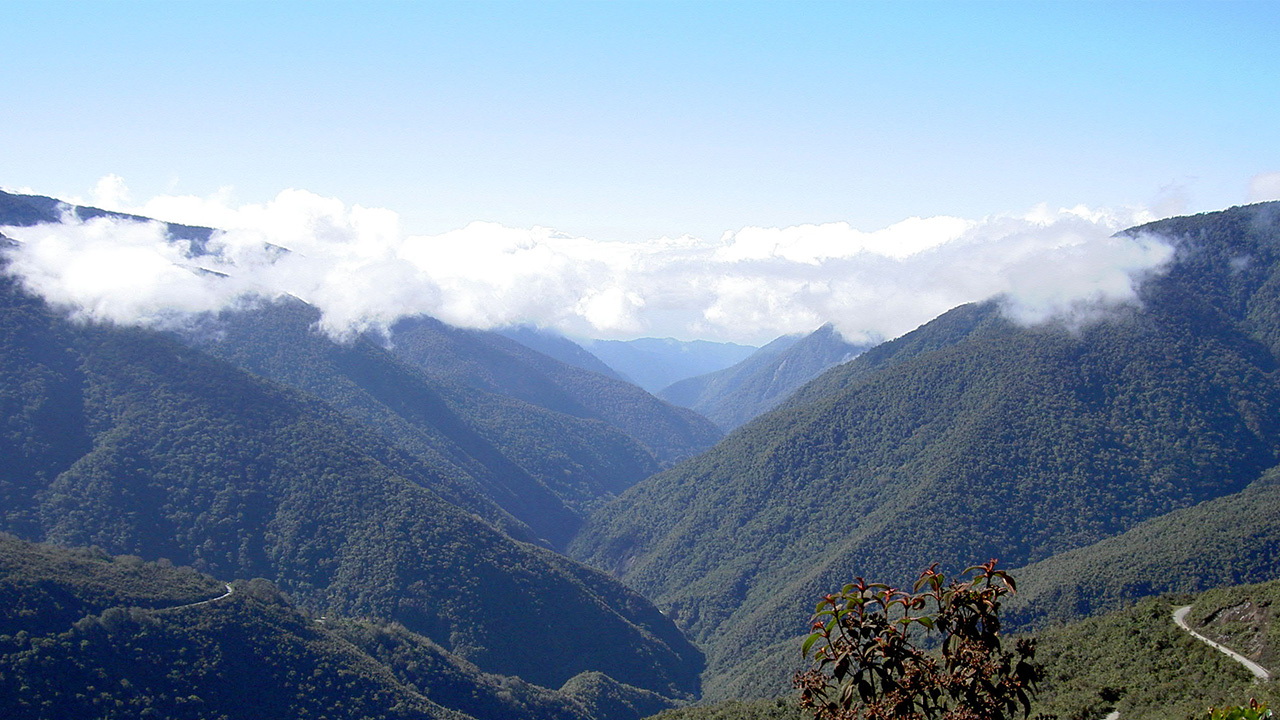Overlooking the Yungas Mountains