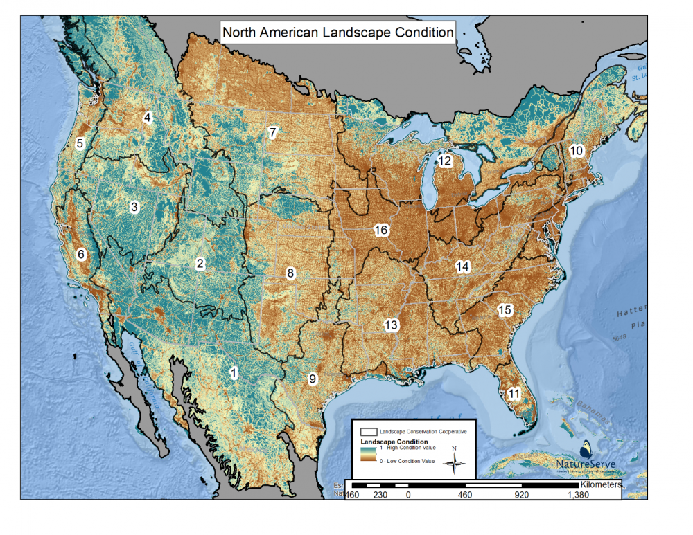 Modeling Landscape Condition Natureserve, North America Landscape Map