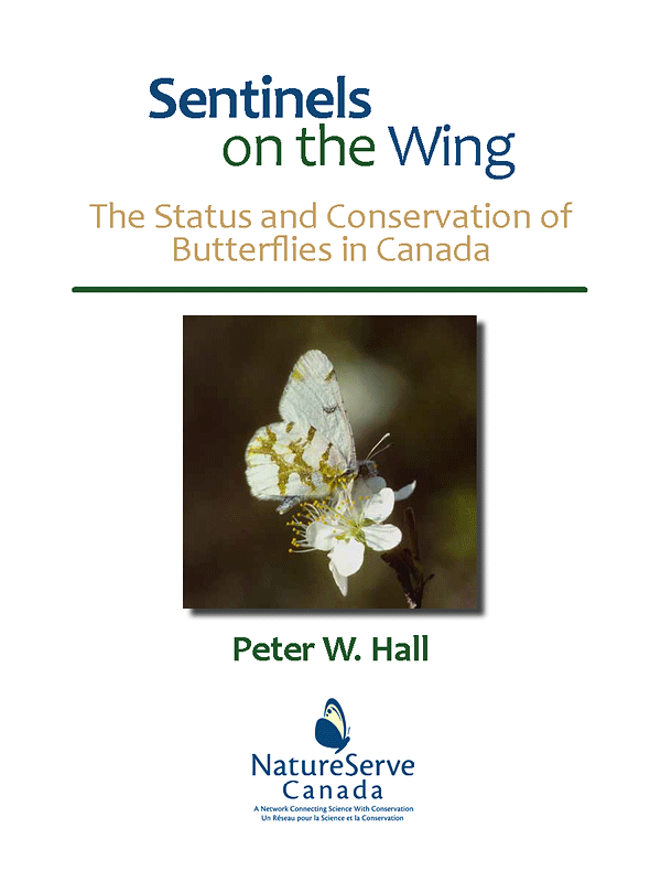 Report cover: Sentinels on the Wing