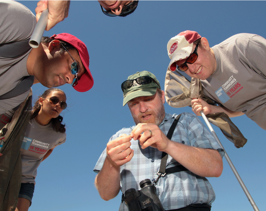 Goldman Sachs employees crowd around to get a look at a tiger beetle during a beach survey in Far Rockaway, New York. Photo by Sam Sheline | NatureServe