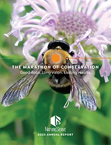 NatureServe Annual Report 2025 cover
