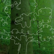 NatureServe's 2024 Annual Report