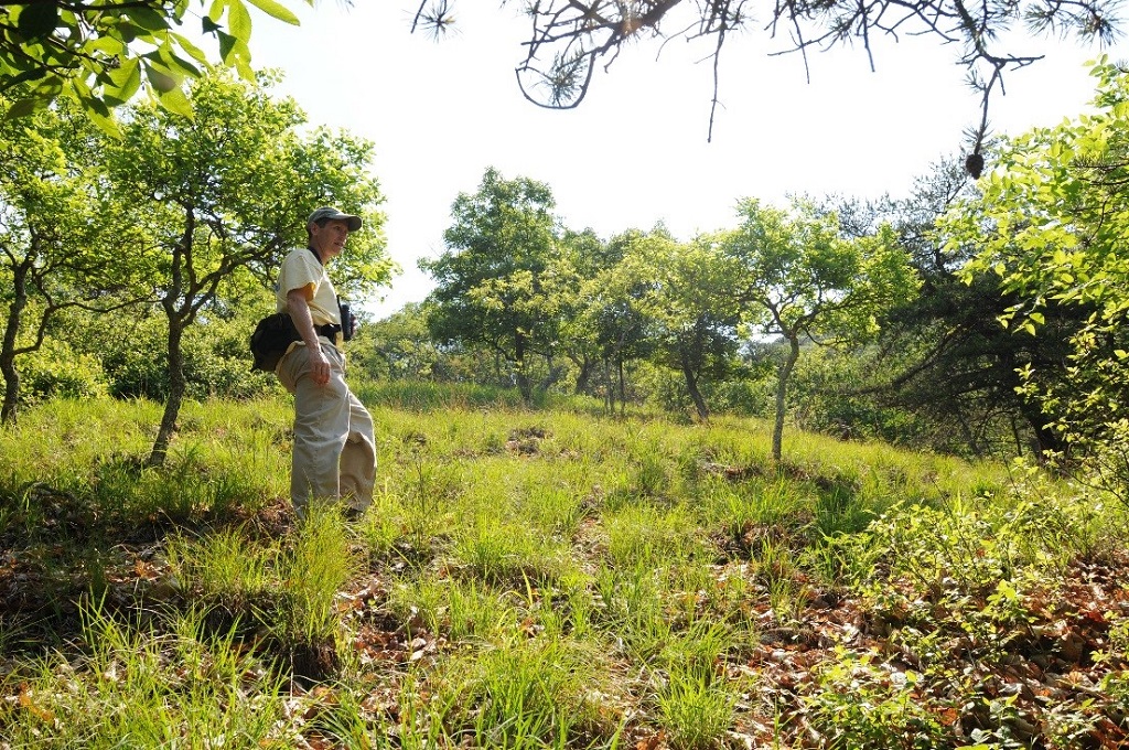 Chris Ludwig, Chief Biologist for the Virginia Natural Heritage Program, walks along a protected site in Virginia